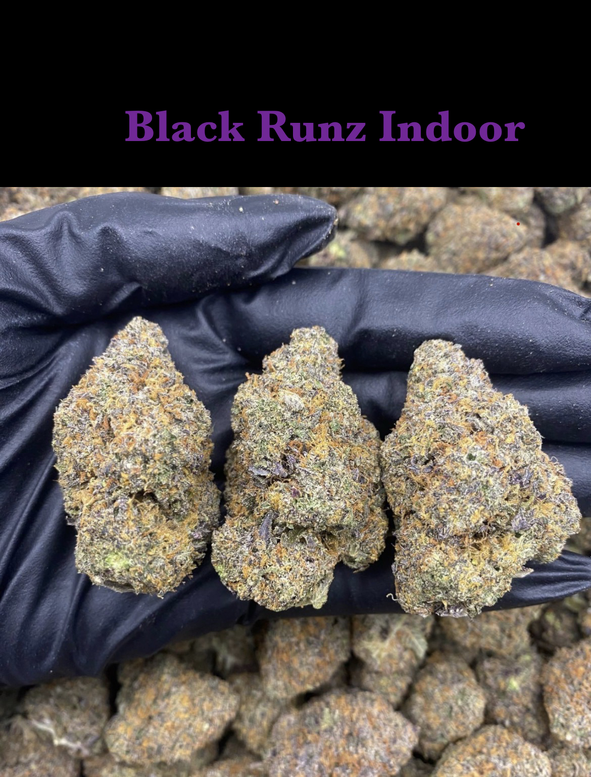 Black Runtz Indoor